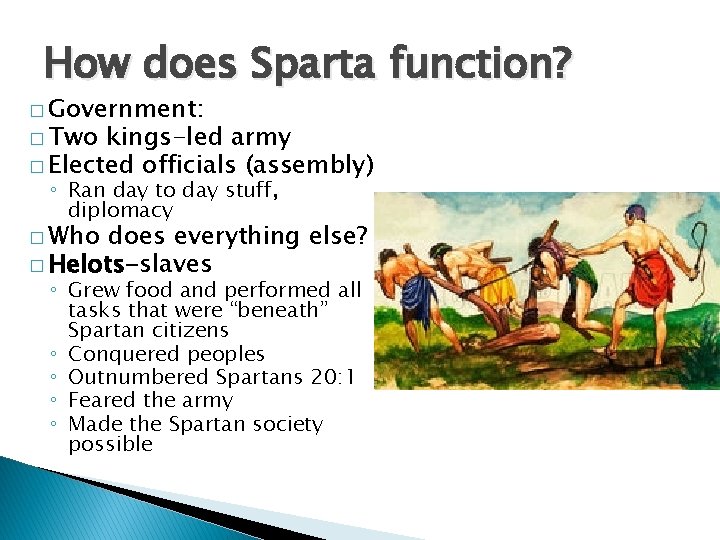 How does Sparta function? � Government: � Two kings-led army � Elected officials (assembly)