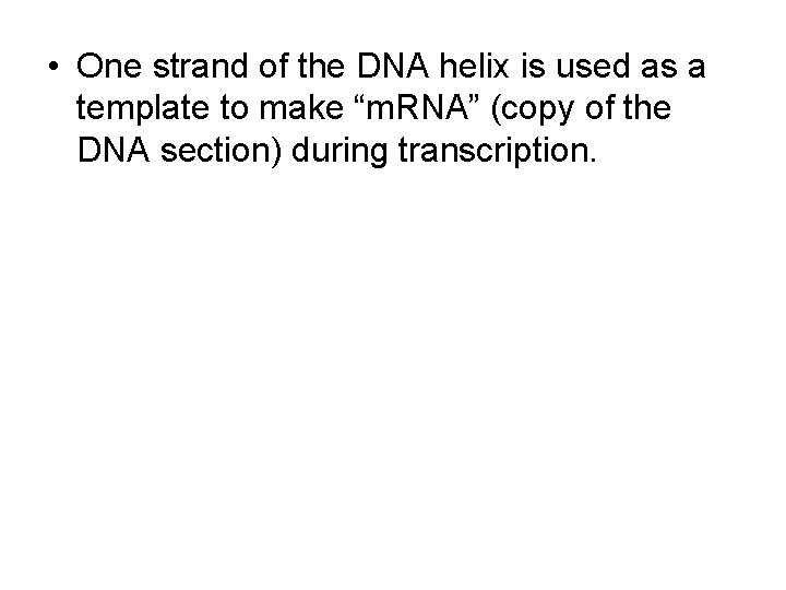  • One strand of the DNA helix is used as a template to