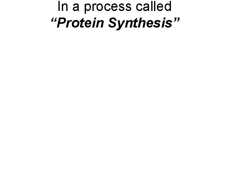 In a process called “Protein Synthesis” 