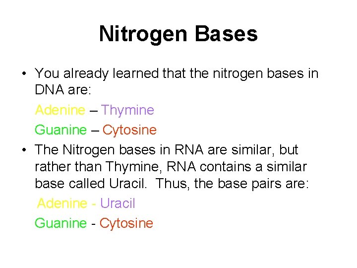 Nitrogen Bases • You already learned that the nitrogen bases in DNA are: Adenine