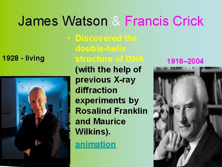 James Watson & Francis Crick 1928 - living • Discovered the double-helix structure of