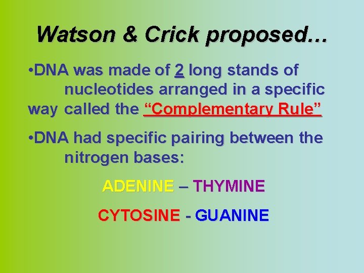 Watson & Crick proposed… • DNA was made of 2 long stands of nucleotides