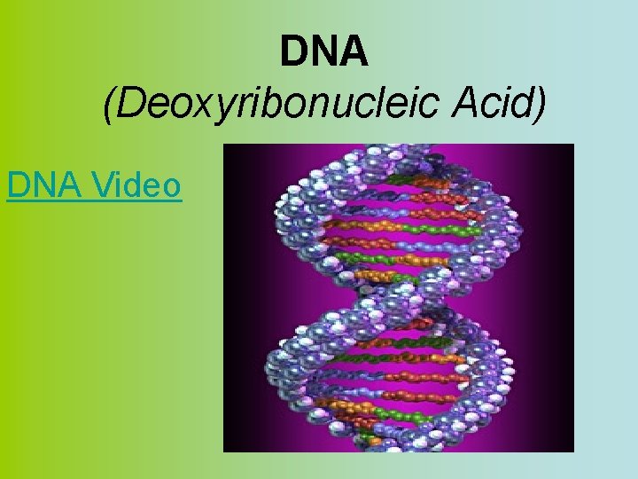 DNA (Deoxyribonucleic Acid) DNA Video 
