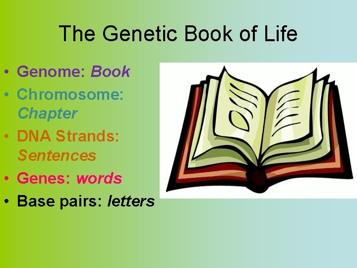 The Genetic Book of Life • Genome: Book • Chromosome: Chapter • DNA Strands: