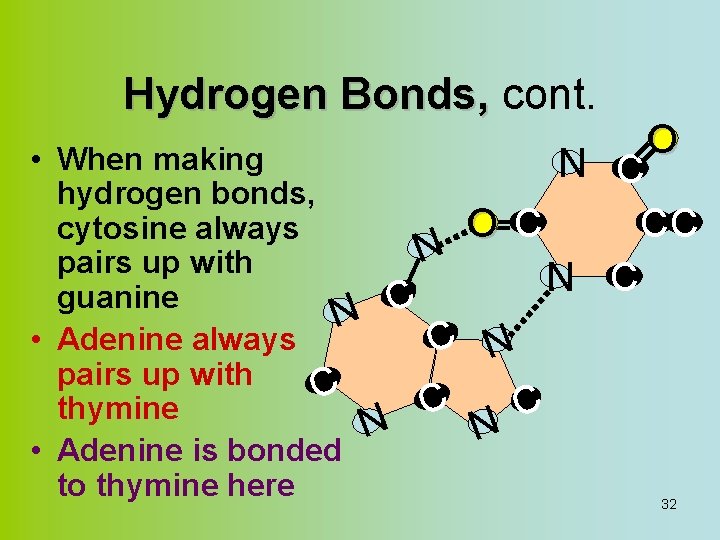 Hydrogen Bonds, cont. • When making N hydrogen bonds, OC cytosine always N pairs