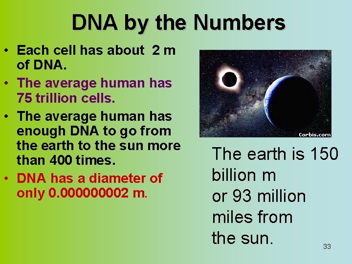 DNA by the Numbers • Each cell has about 2 m of DNA. •