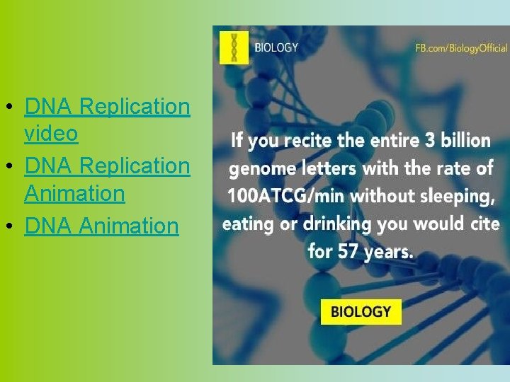  • DNA Replication video • DNA Replication Animation • DNA Animation 