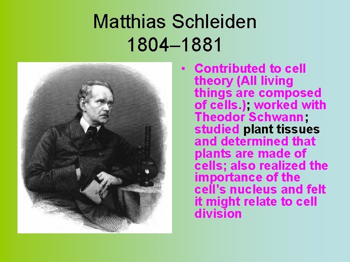 Matthias Schleiden 1804– 1881 • Contributed to cell theory (All living things are composed
