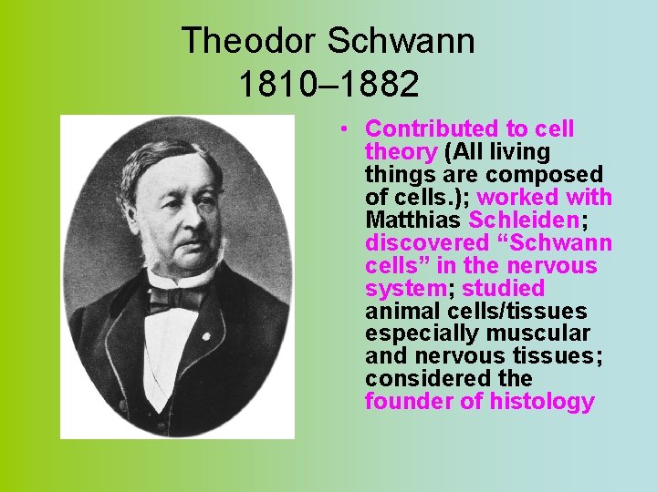 Theodor Schwann 1810– 1882 • Contributed to cell theory (All living things are composed