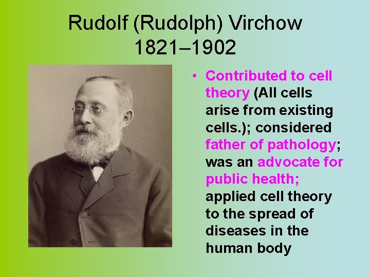 Rudolf (Rudolph) Virchow 1821– 1902 • Contributed to cell theory (All cells arise from