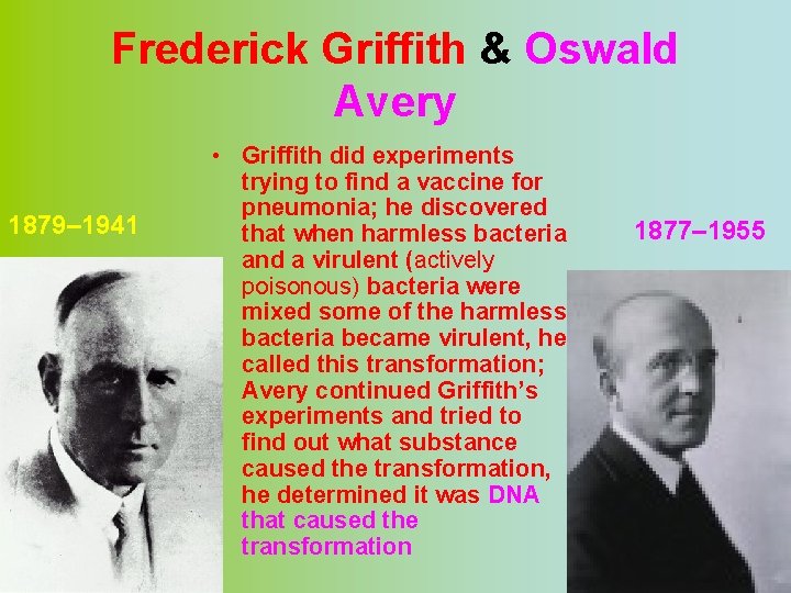 Frederick Griffith & Oswald Avery 1879– 1941 • Griffith did experiments trying to find