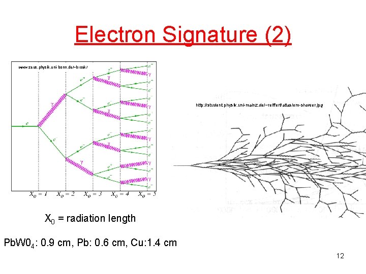 Electron Signature (2) www-zeus. physik. uni-bonn. de/~brock/ http: //student. physik. uni-mainz. de/~reiffert/atlas/em-shower. jpg X