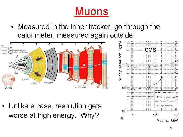 Muons • Measured in the inner tracker, go through the calorimeter, measured again outside
