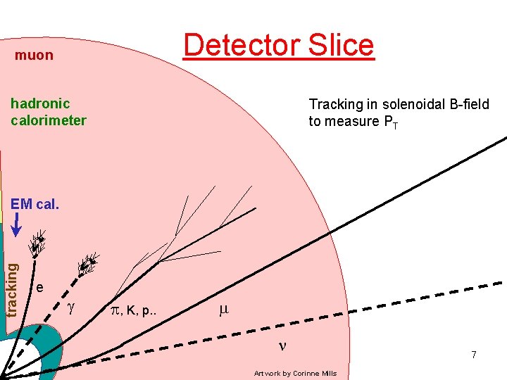 Detector Slice muon hadronic calorimeter Tracking in solenoidal B-field to measure PT tracking EM