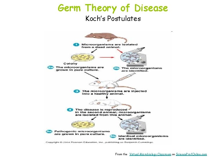 History Of Microbiology From The Virtual Microbiology Classroom