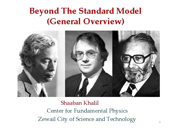 Beyond The Standard Model (General Overview) Shaaban Khalil Center for Fundamental Physics Zewail City
