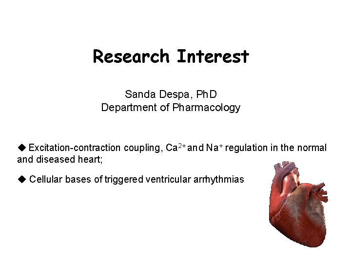 Research Interest Sanda Despa, Ph. D Department of Pharmacology Excitation-contraction coupling, Ca 2+ and