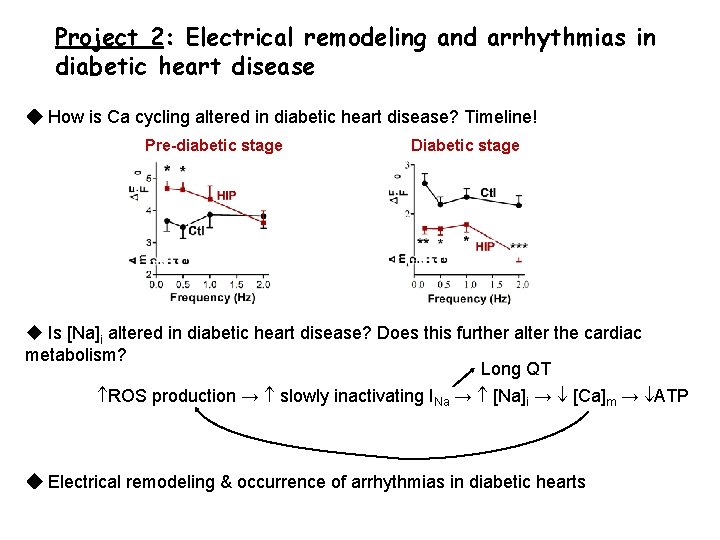 Project 2: Electrical remodeling and arrhythmias in diabetic heart disease How is Ca cycling