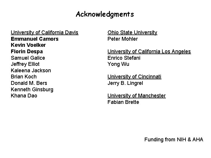 Acknowledgments University of California Davis Emmanuel Camors Kevin Voelker Florin Despa Samuel Galice Jeffrey