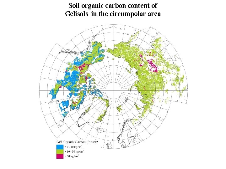 Soil organic carbon content of Gelisols in the circumpolar area 