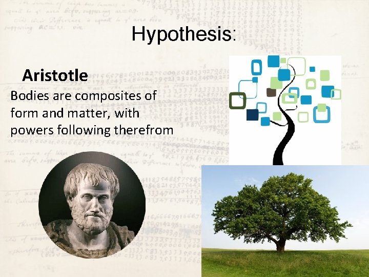 Hypothesis: Aristotle Bodies are composites of form and matter, with powers following therefrom 