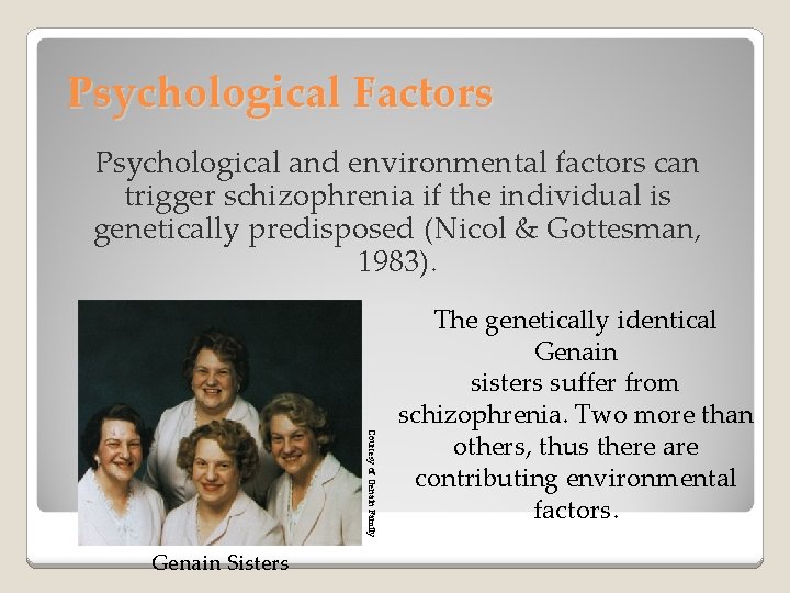 Psychological Factors Psychological and environmental factors can trigger schizophrenia if the individual is genetically