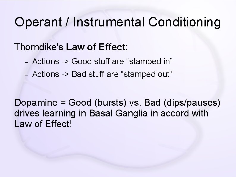 Operant / Instrumental Conditioning Thorndike’s Law of Effect: Actions -> Good stuff are “stamped