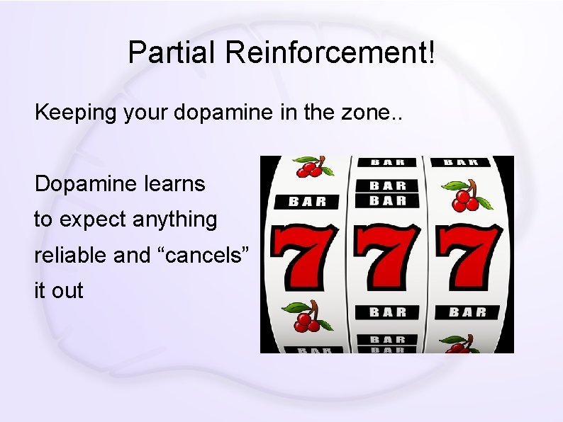 Partial Reinforcement! Keeping your dopamine in the zone. . Dopamine learns to expect anything