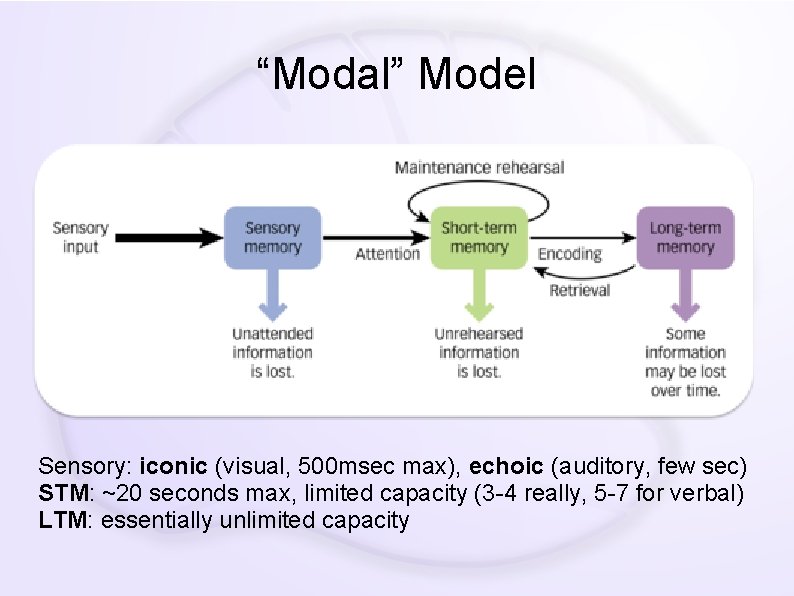 “Modal” Model Sensory: iconic (visual, 500 msec max), echoic (auditory, few sec) STM: ~20