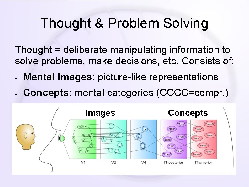 Thought & Problem Solving Thought = deliberate manipulating information to solve problems, make decisions,