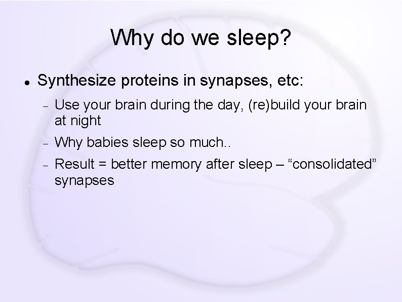 Why do we sleep? Synthesize proteins in synapses, etc: Use your brain during the