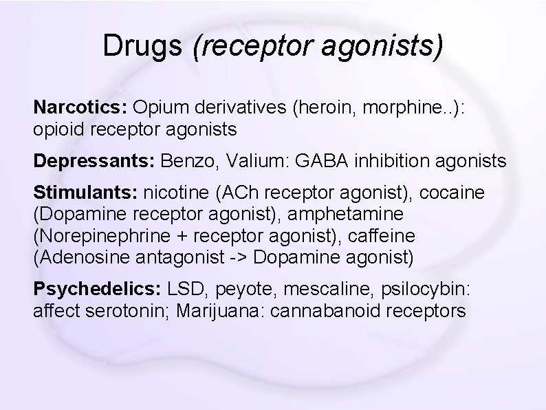 Drugs (receptor agonists) Narcotics: Opium derivatives (heroin, morphine. . ): opioid receptor agonists Depressants: