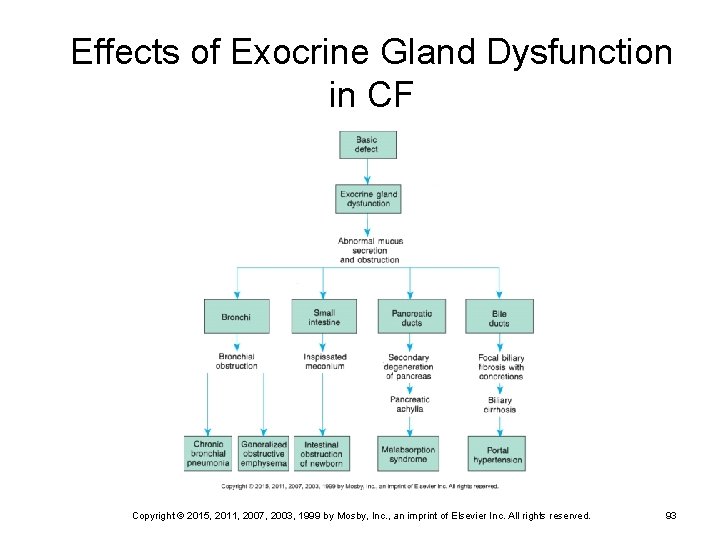 Effects of Exocrine Gland Dysfunction in CF Copyright © 2015, 2011, 2007, 2003, 1999