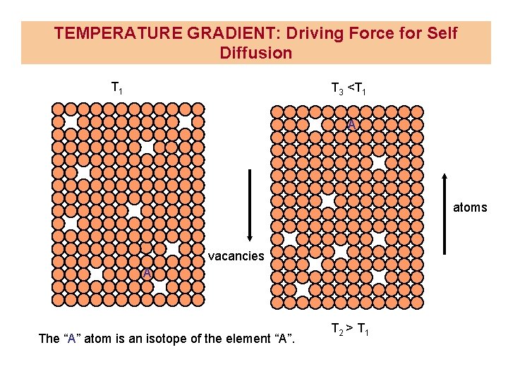 TEMPERATURE GRADIENT: Driving Force for Self Diffusion T 1 T 3 <T 1 A TEMPERATURE GRADIENT: Driving Force for Self Diffusion T 1 T 3 <T 1 A