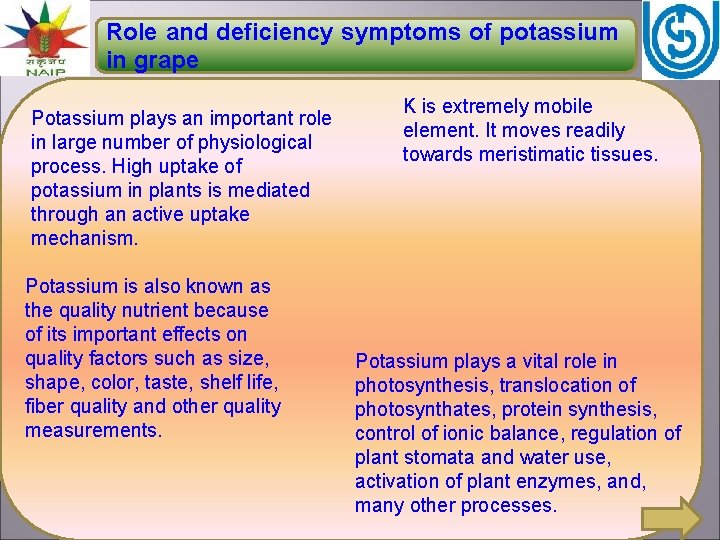 Role and deficiency symptoms of potassium in grape Potassium plays an important role in