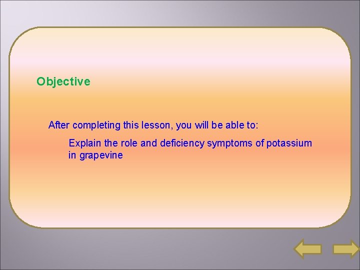 Objective After completing this lesson, you will be able to: Explain the role and