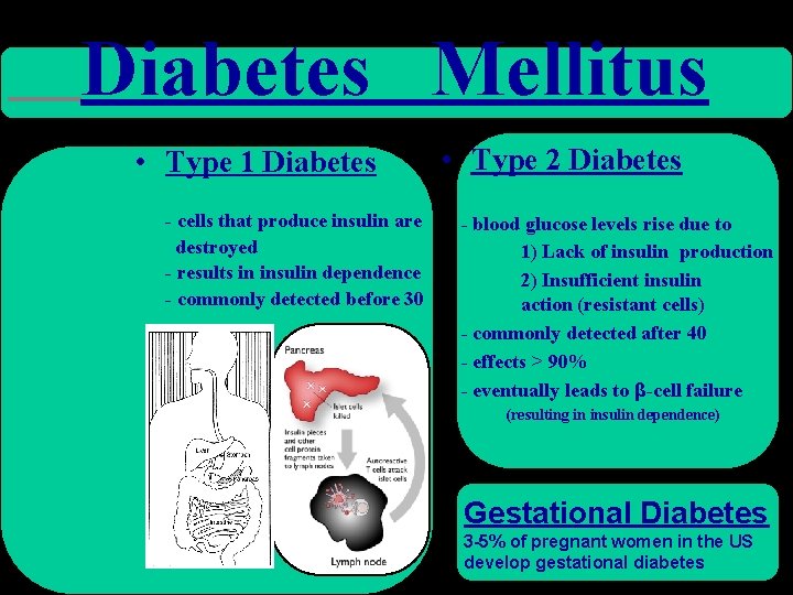 Diabetes Mellitus • Type 1 Diabetes • Type 2 Diabetes - cells that produce