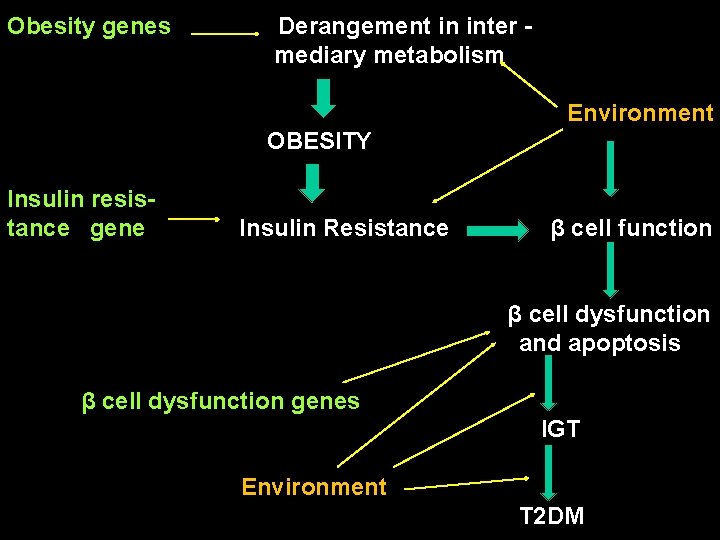 Obesity genes Derangement in inter mediary metabolism Environment OBESITY Insulin resistance gene Insulin Resistance