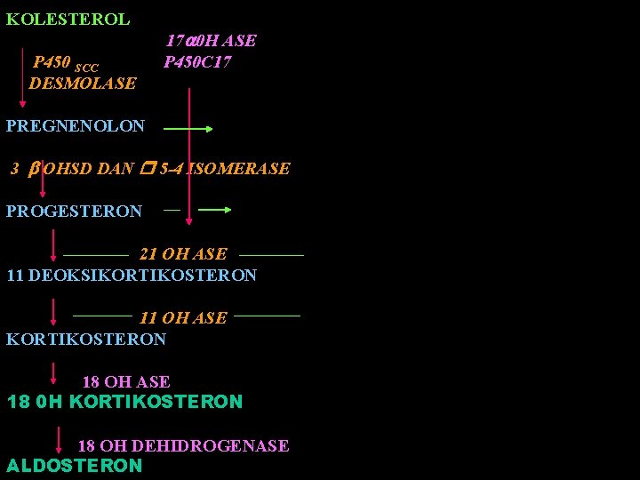 KOLESTEROL P 450 SCC DESMOLASE 17 0 H ASE P 450 C 17 PREGNENOLON