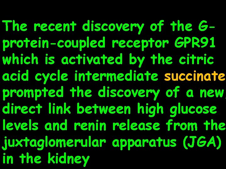 The recent discovery of the Gprotein-coupled receptor GPR 91 which is activated by the