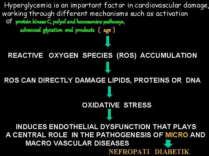 Hyperglycemia is an important factor in cardiovascular damage, working through different mechanisms such as