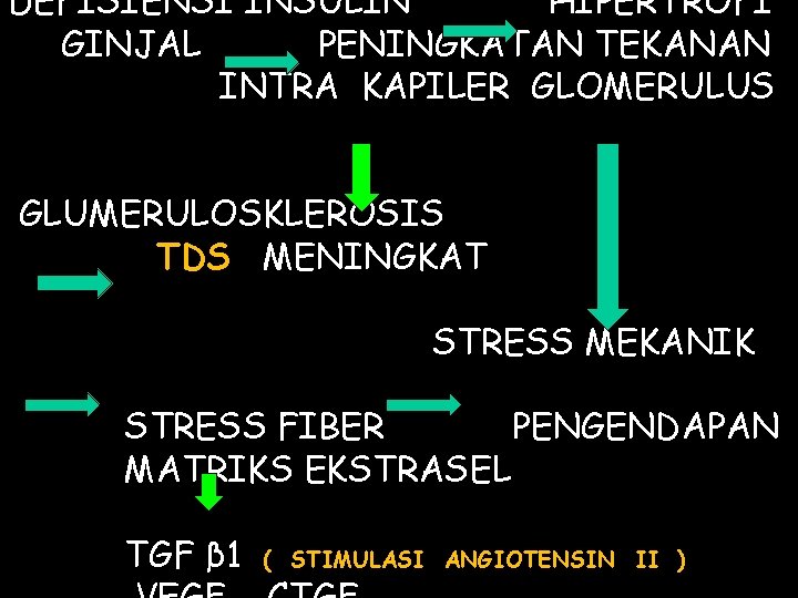 DEFISIENSI INSULIN HIPERTROFI GINJAL PENINGKATAN TEKANAN INTRA KAPILER GLOMERULUS GLUMERULOSKLEROSIS TDS MENINGKAT STRESS MEKANIK