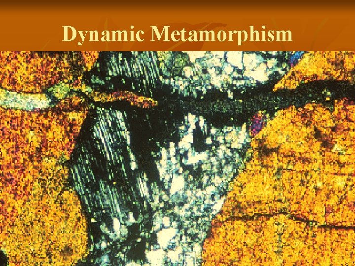 Dynamic Metamorphism 