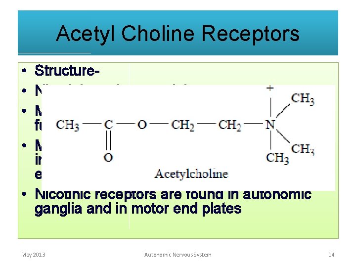 Acetyl Choline Receptors • Structure • Nicotinic and muscarinic receptors • Muscarine is a