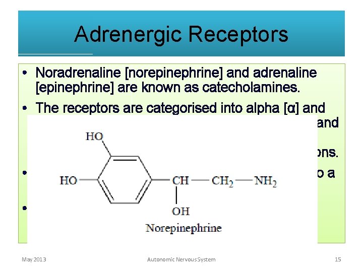 Adrenergic Receptors • Noradrenaline [norepinephrine] and adrenaline [epinephrine] are known as catecholamines. • The