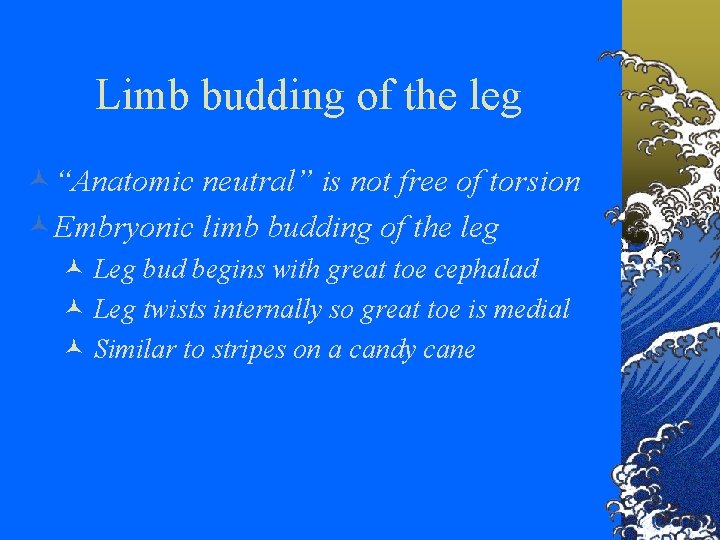 Limb budding of the leg ©“Anatomic neutral” is not free of torsion ©Embryonic limb