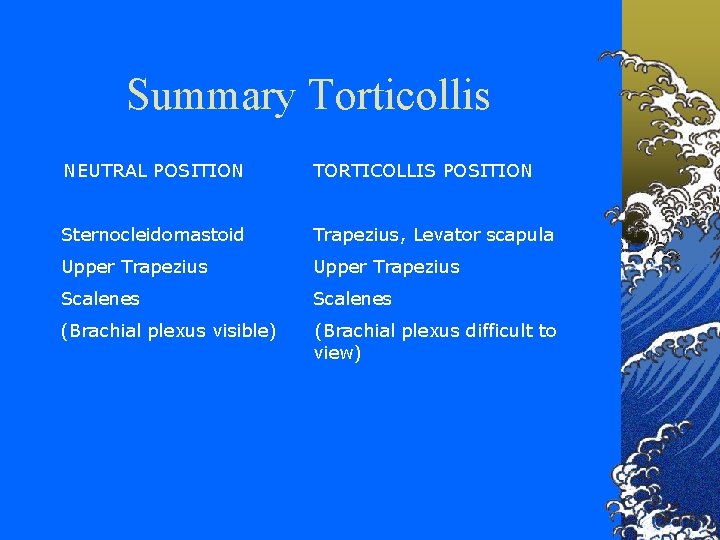 Summary Torticollis NEUTRAL POSITION TORTICOLLIS POSITION Sternocleidomastoid Trapezius, Levator scapula Upper Trapezius Scalenes (Brachial