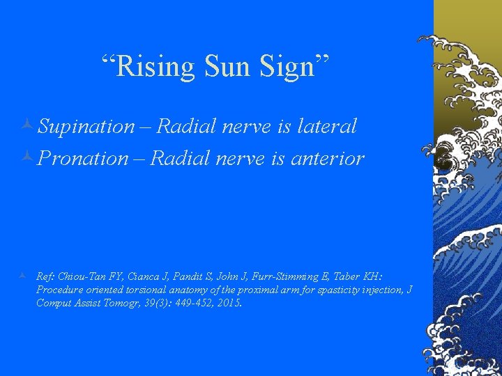 “Rising Sun Sign” ©Supination – Radial nerve is lateral ©Pronation – Radial nerve is