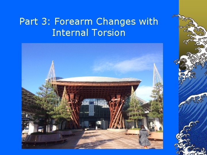 Part 3: Forearm Changes with Internal Torsion 