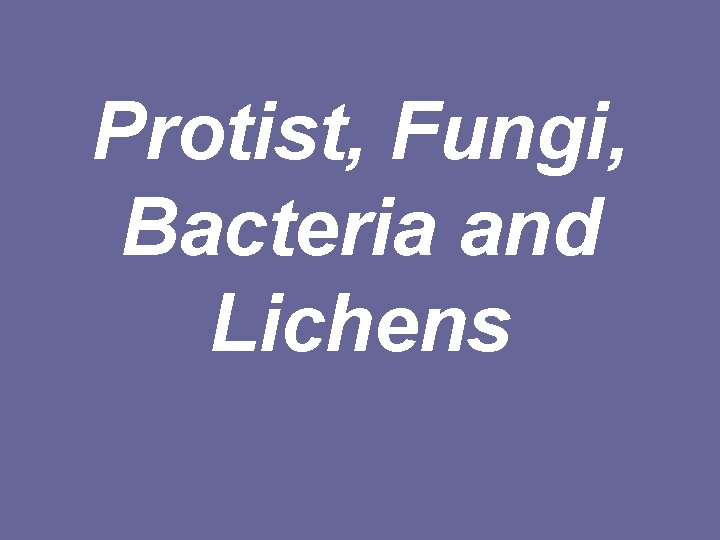 Protist, Fungi, Bacteria and Lichens 